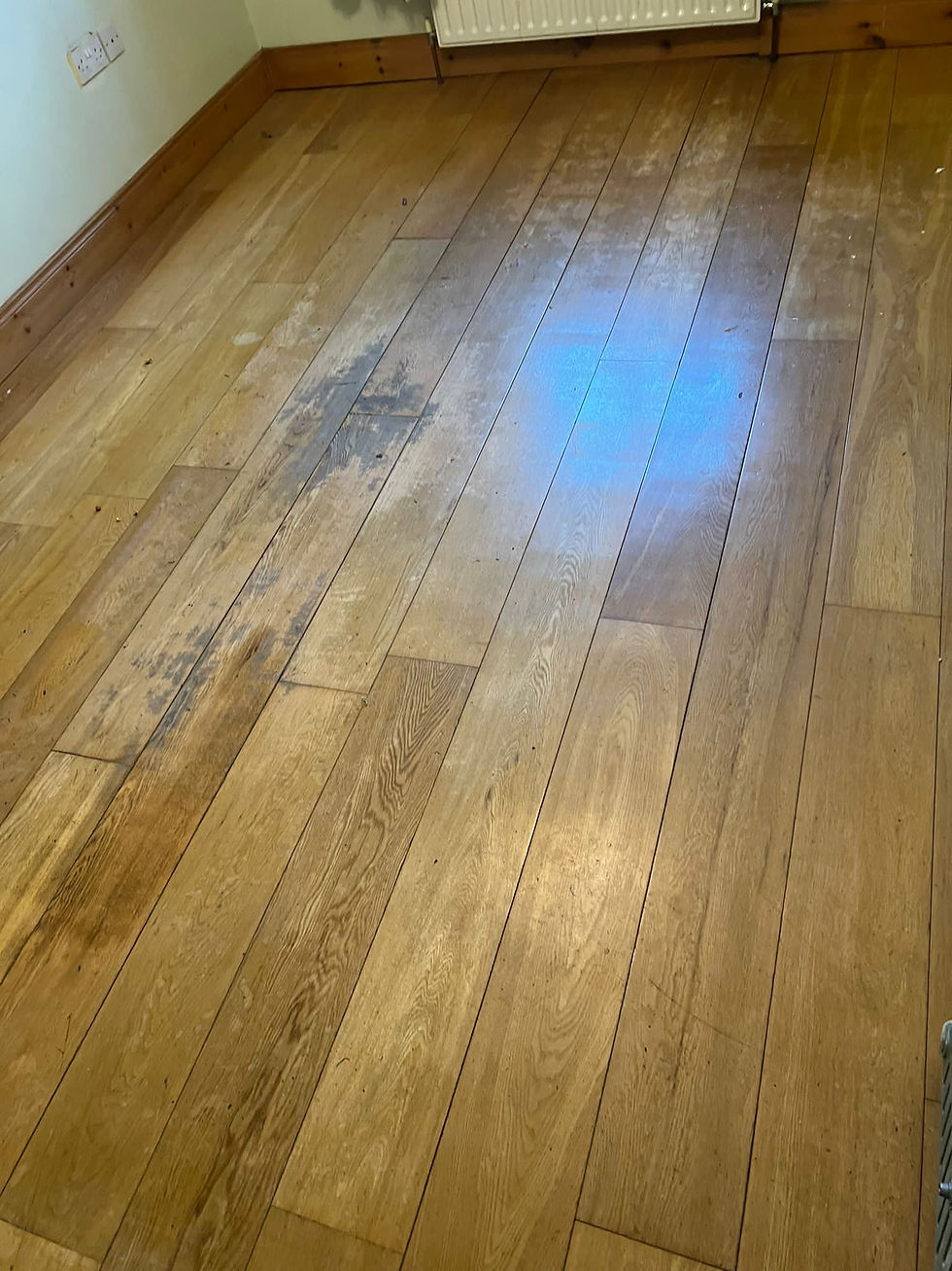 Floors 2 New