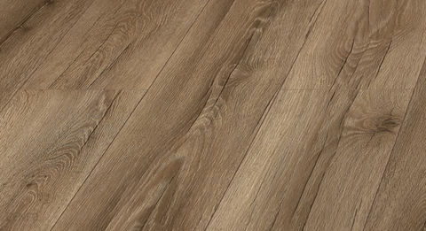 Celtic Oak