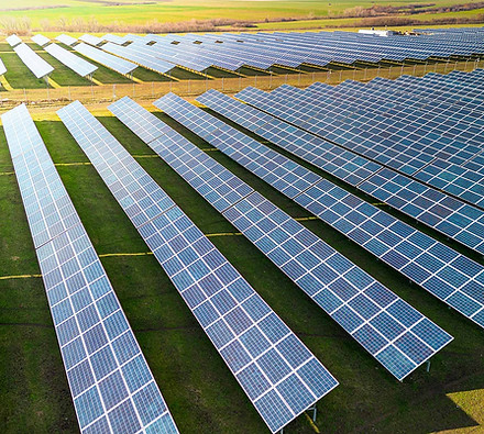 shutterstock_2409866899