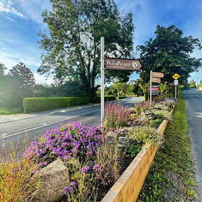 Revitalising a Forgotten Corner of Ashford