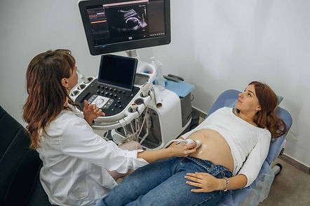 shutterstock_2553345651