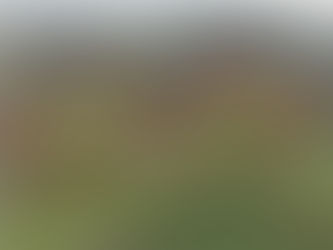 Kilnavara, Cavan c. 8.44