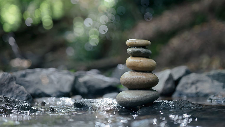 shutterstock_20499408