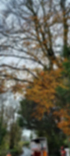 IMG-20230919-WA0053