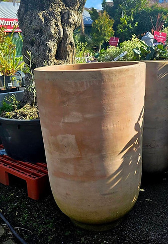 Large terracotta garden pot outdoors
