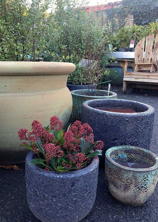 Ceramic Pots