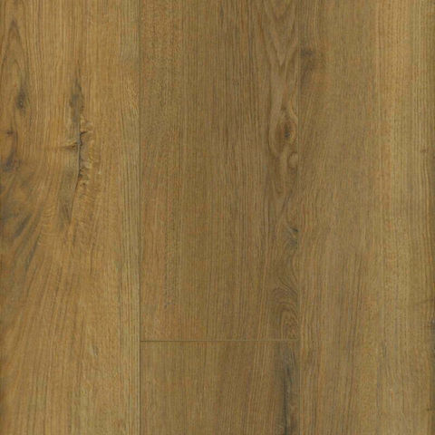 Privas Oak