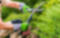 shutterstock_1907699923