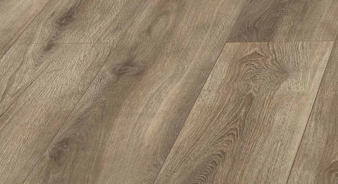 Andromeda Oak