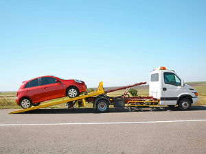 shutterstock_120988975