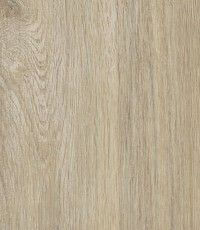 Bermuda Oak