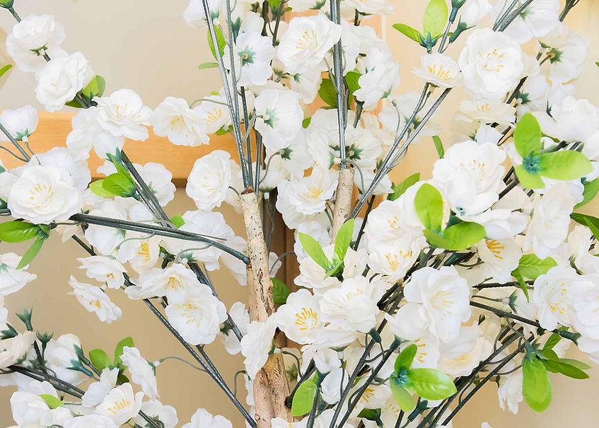 Massey Cremation Services
