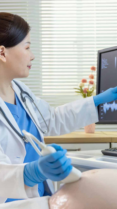 2D Ultrasound Scans