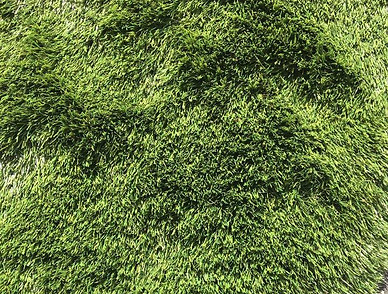 artificial grass