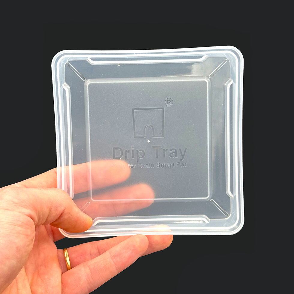 Thumbnail: Drain Smart Pot Transparent Matt Quadratic Plastic Orchid / Clivia Pot (S16)