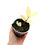 Thumbnail: Zamioculcas Zamiifolia Variegata / Variegated ZZ (Young Plant)
