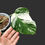 Thumbnail: Monstera Albo Variegata