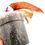 Thumbnail: Philodendron Strawberry Shake (L)