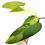 Miniaturbild: Philodendron Jose Buono (L)