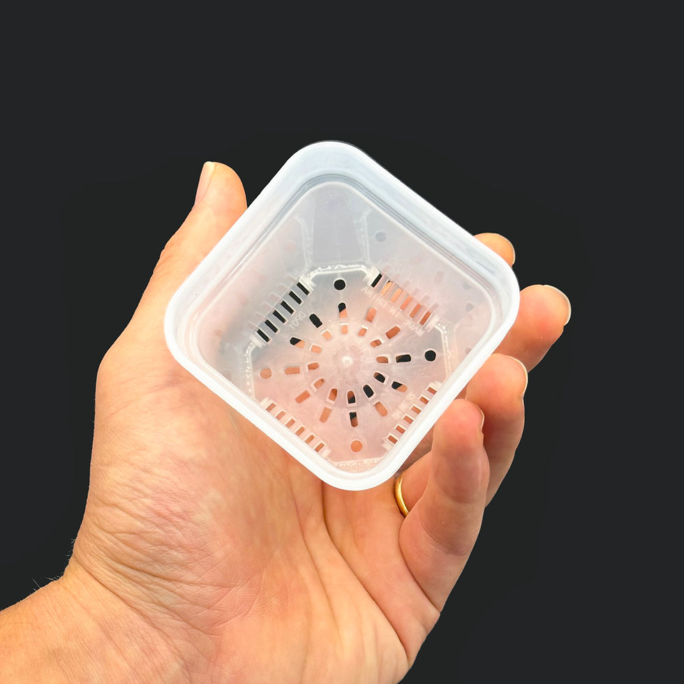 Miniaturbild: Mini Transparenter Matter Quadratischer Topf | Pflanzgefäß für Setzlinge & kleine Pflanzen (XS/S)