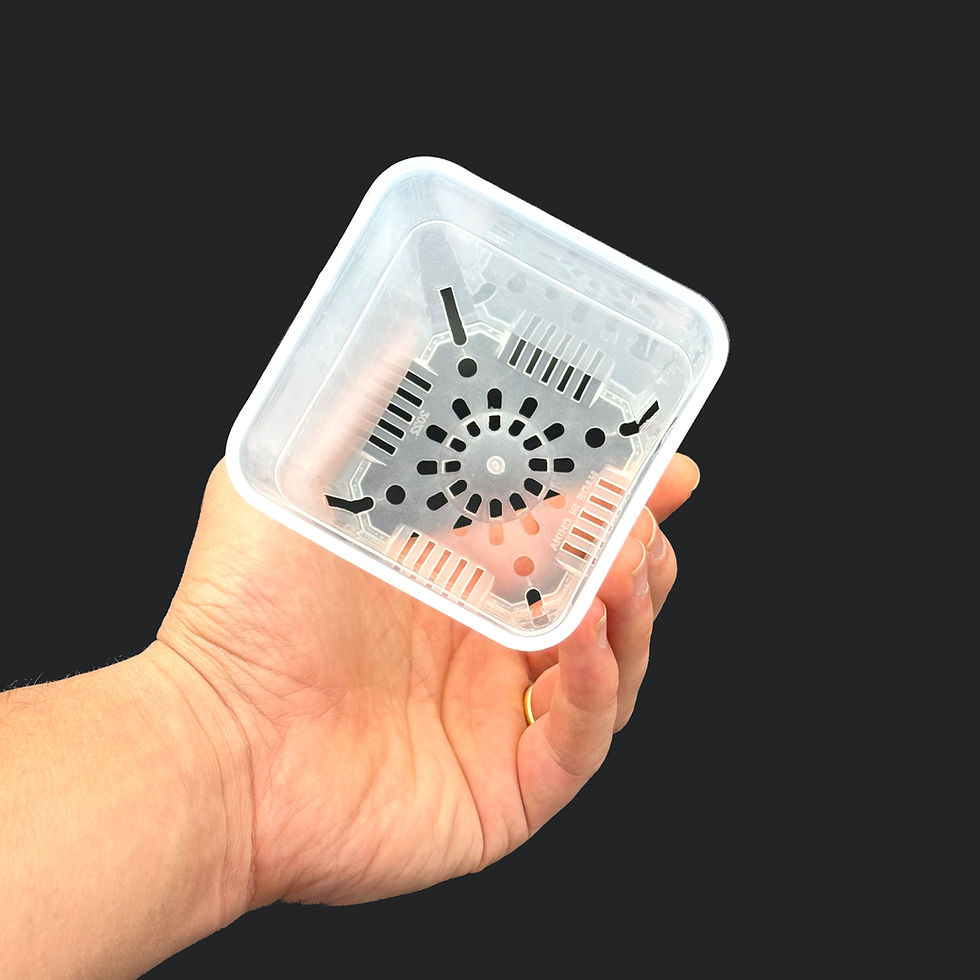 Thumbnail: Tall Transparent Matte Square Pot | Planter for Seedlings & Small Plants