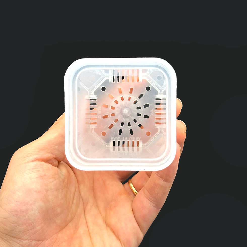 Miniaturbild: Mini Transparenter Matter Quadratischer Topf | Pflanzgefäß für Setzlinge & kleine Pflanzen (XS/S)