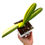 Miniaturbild: Clivia Miniata Variegata