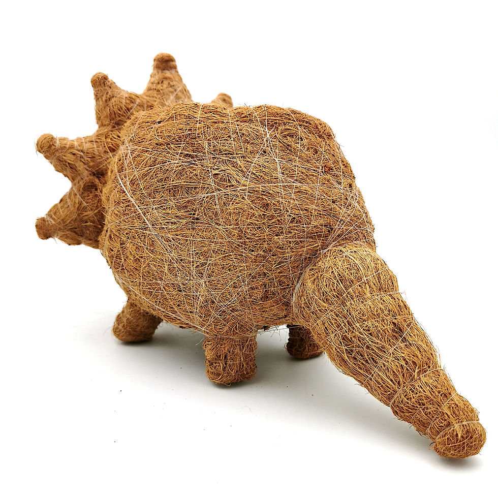 Thumbnail: Coco Coir Pot - Triceratops Planter