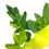 Miniaturbild: Thaumatophyllum Java Beauty