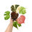 Thumbnail: Hibiscus Tiliaceus Variegata