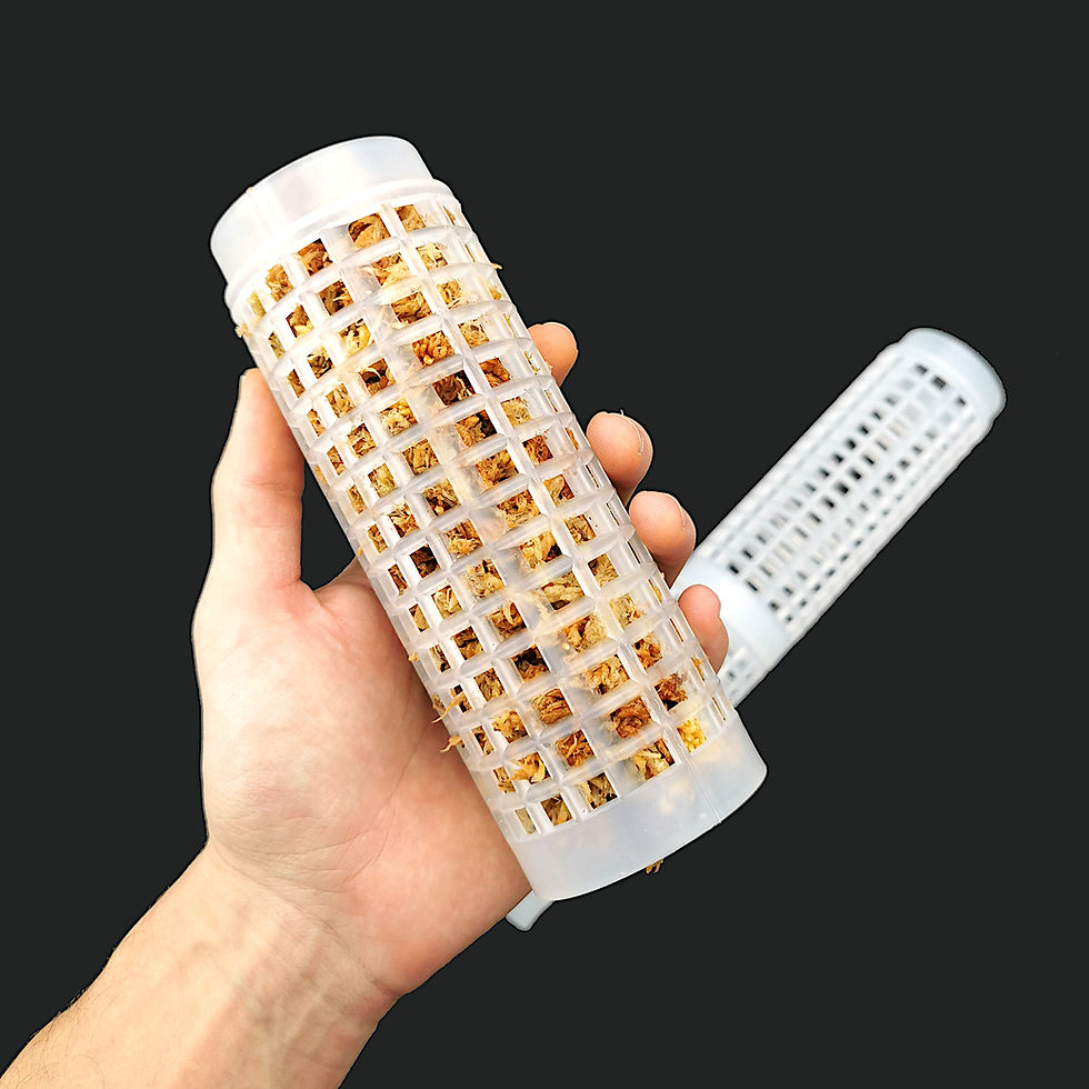 Miniaturbild: Easy Connect Moosstab Pflanzstab Rankhilfe Transparentes Rohr (XL) Unterstützung für Luftwurzeln von Kletterpflanzen