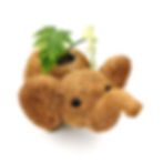 Thumbnail: Coco Coir Pot - Elephant Planter