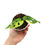 Miniaturbild: Monstera Adansonii Aurea Variegata
