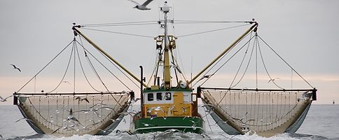 boat.png