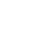 boule-disco (1).png