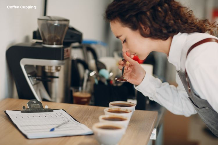 Coffee Flavor and Influencing Factors: From Growing Regions to Roasting Process
