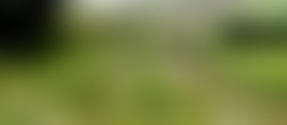 Free Countryside Stewardship On-Line Advice