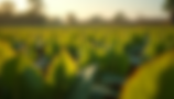 -post-ai-image-1771.png
