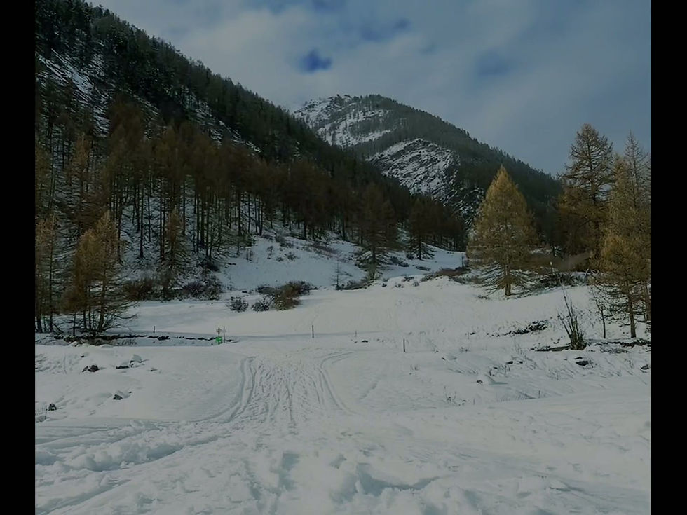 Miniature : Gilet d'Hydratation Premium – Ultraléger + Vessie 2L + 2 flasques 500ML