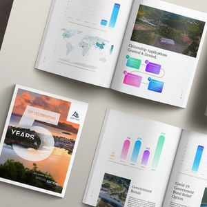 CIP Saint Lucia Annual Report