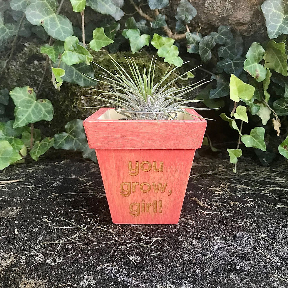 Thumbnail: Wooden Pot Air Plant Holder