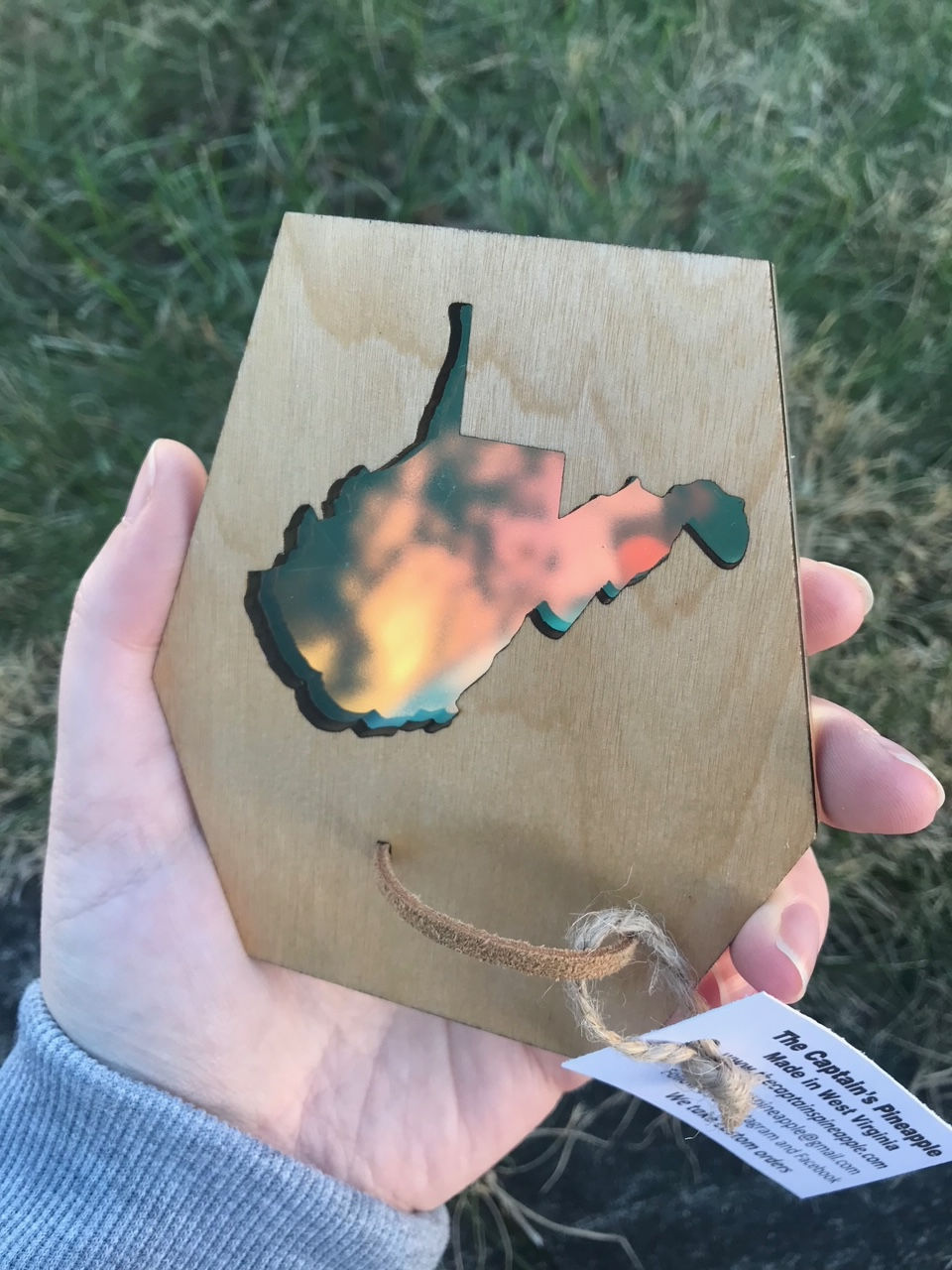 Thumbnail: Wooden Air Plant Holder with Iridescent Back