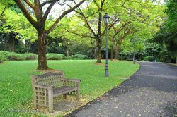 In The Park