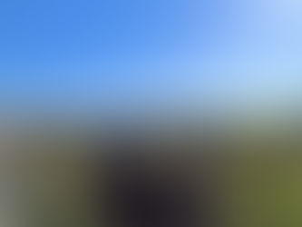 25/11/2023