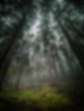E18E6744-975D-42C6-ABD7-3E6A642F9D82.jpg