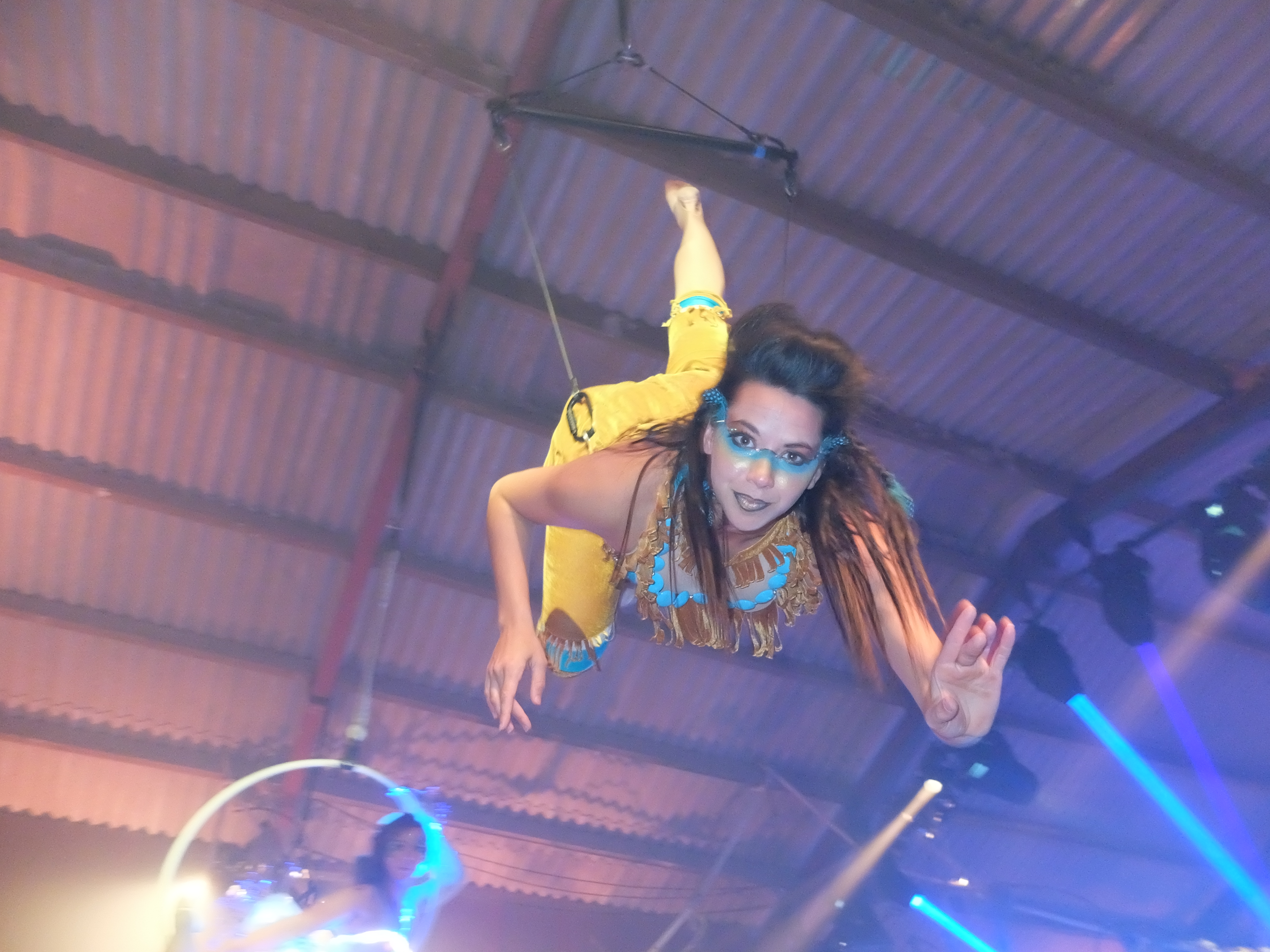 Tiger Lilly Flying