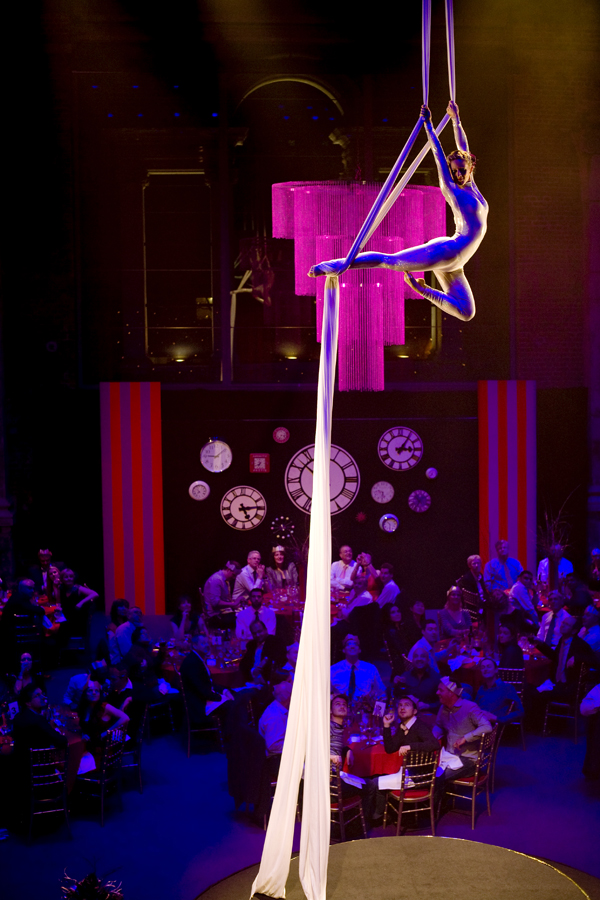 Aerial Silks