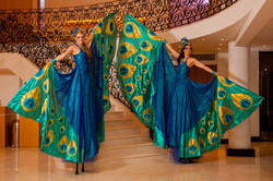 Peacock Stiltwalkers