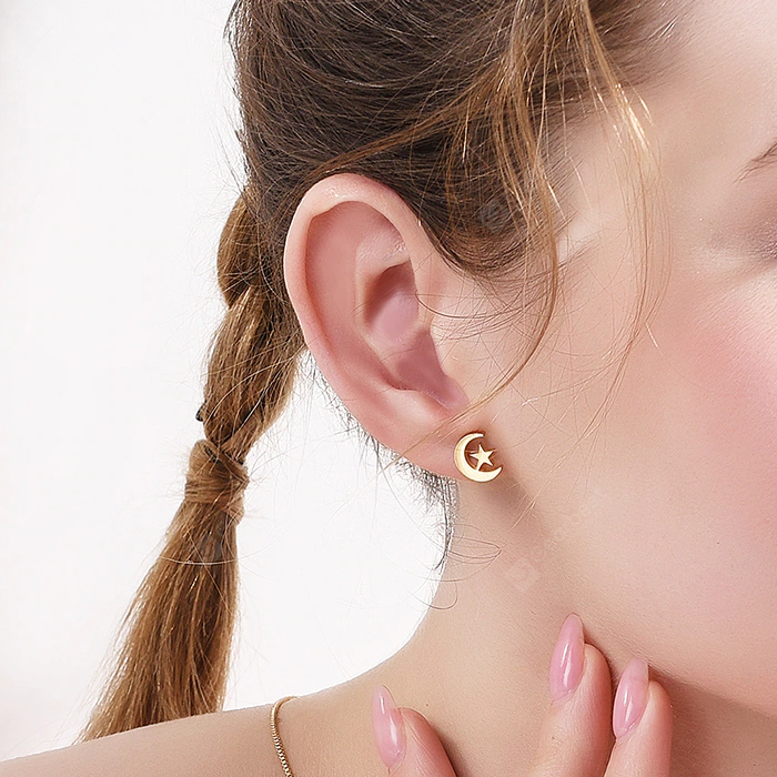 Thumbnail: Stainless Steel Moon and Star Earrings
