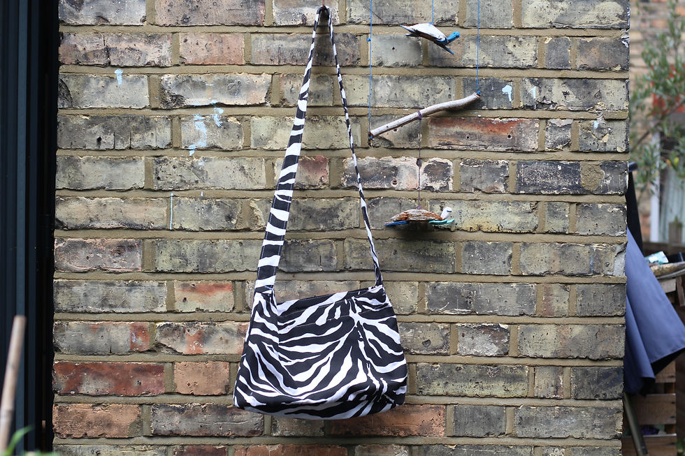 Zebra bag